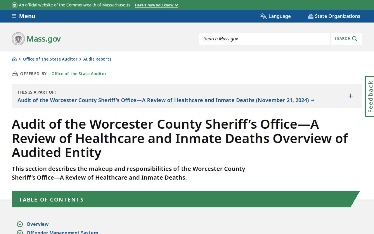 Worcester County internal release date and release type fields described by the State Auditor